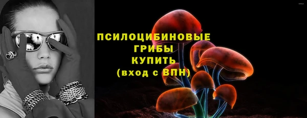 герыч Арсеньев