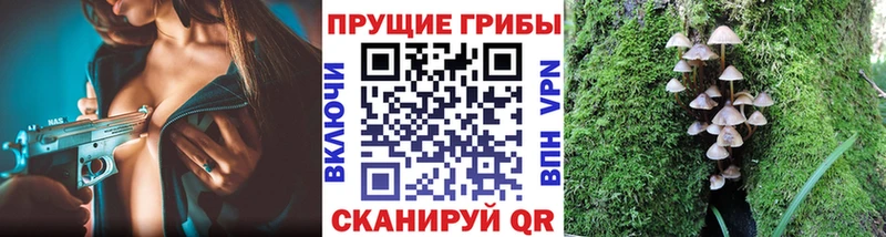 blacksprut ссылка Родники Галлюциногенные грибы ЛСД
